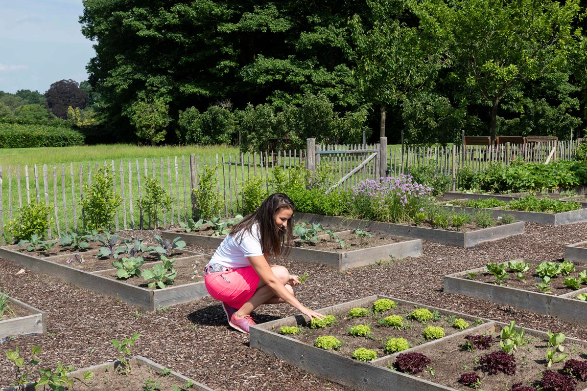 Lithium Vegetable Garden