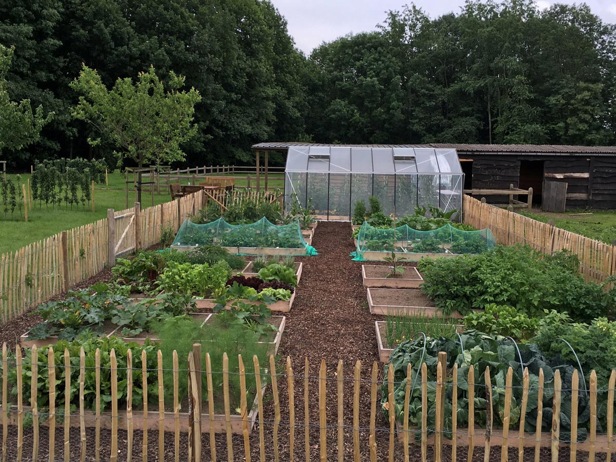 Lithium Vegetable Garden