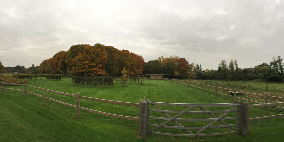 Lithium Meadow View